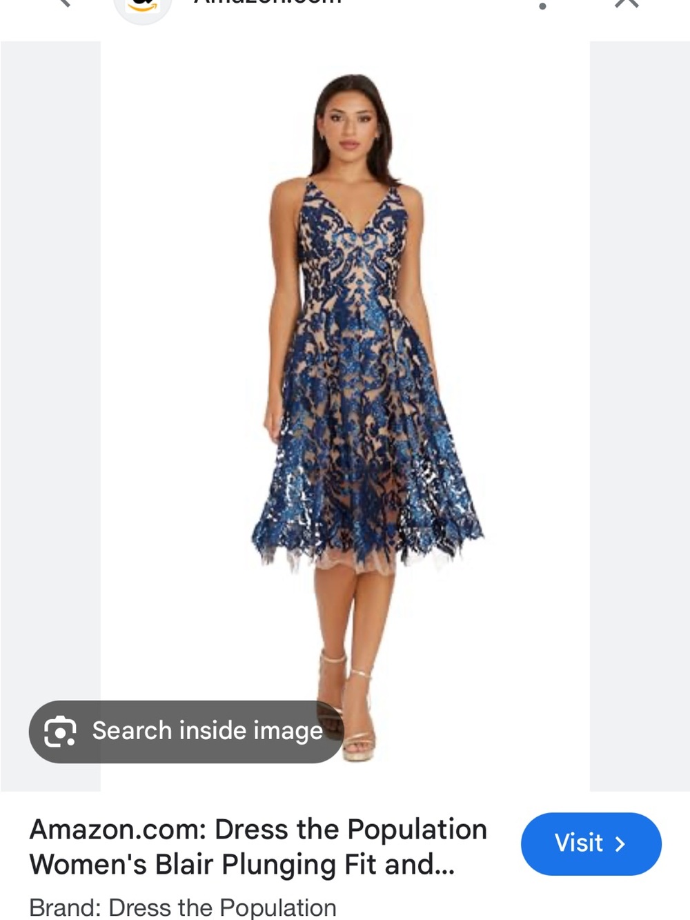 Dress the Population Elegant Blue Lace Dress